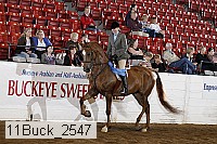 11buck_2547 proof