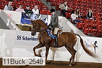 11buck_2548 proof