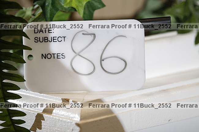Proof 11buck_2552