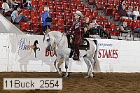 11buck_2554 proof