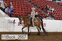 11buck_2557 proof