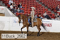 11buck_2562 proof