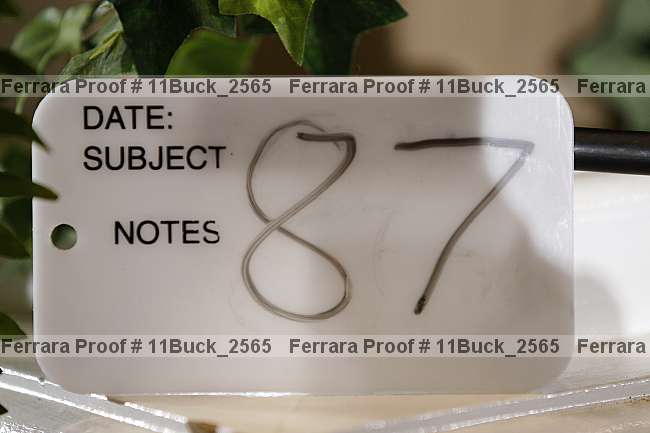 Proof 11buck_2565