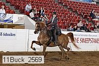 11buck_2569 proof