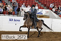 11buck_2572 proof