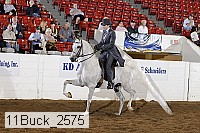 11buck_2575 proof