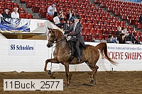 11buck_2577 proof