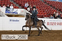 11buck_2580 proof