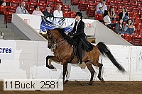 11buck_2581 proof