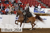11buck_2584 proof