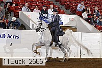 11buck_2585 proof