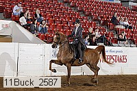 11buck_2587 proof