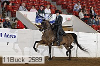 11buck_2589 proof