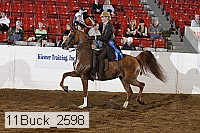11buck_2598 proof