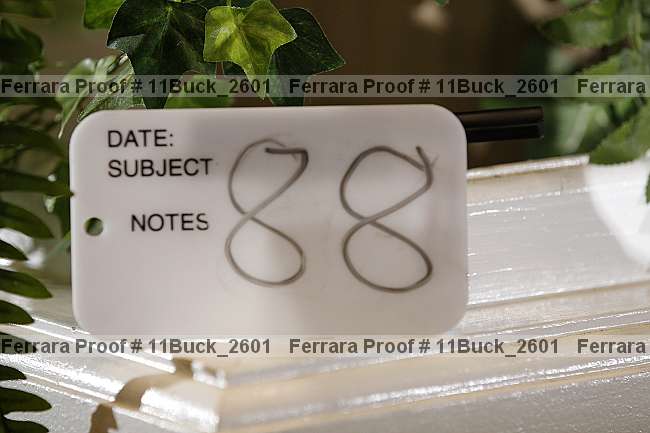 Proof 11buck_2601