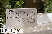11buck_2601 proof