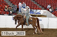 11buck_2603 proof