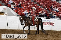 11buck_2615 proof