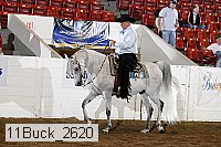 11buck_2620 proof