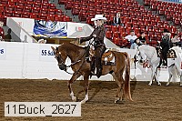11buck_2627 proof