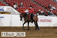 11buck_2629 proof