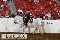 11buck_2630 proof
