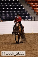 11buck_2633 proof