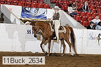11buck_2634 proof