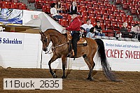11buck_2635 proof