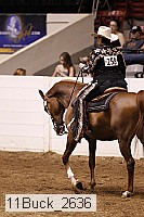 11buck_2636 proof