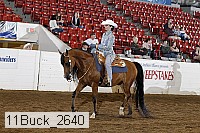 11buck_2640 proof