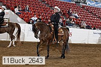 11buck_2643 proof