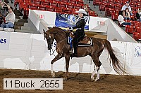 11buck_2655 proof