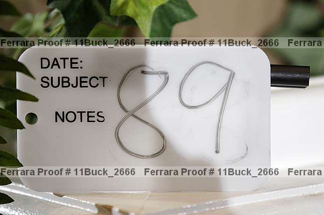 Proof 11buck_2666