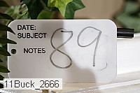 11buck_2666 proof