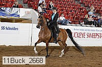 11buck_2668 proof