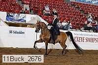 11buck_2676 proof
