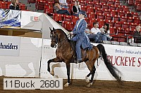 11buck_2680 proof