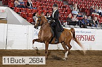 11buck_2684 proof