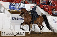 11buck_2687 proof