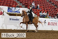 11buck_2692 proof
