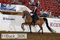 11buck_2695 proof