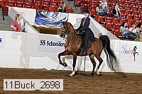 11buck_2698 proof
