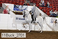 11buck_2701 proof