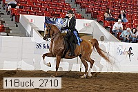 11buck_2710 proof