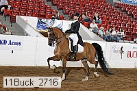 11buck_2716 proof