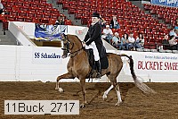 11buck_2717 proof