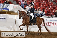 11buck_2723 proof