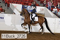 11buck_2725 proof