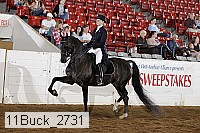11buck_2731 proof
